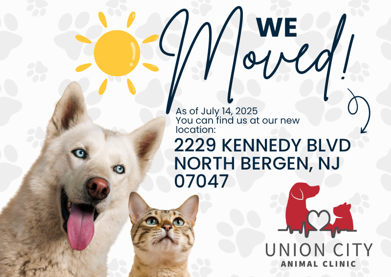 Carousel Slide 1: Learn More