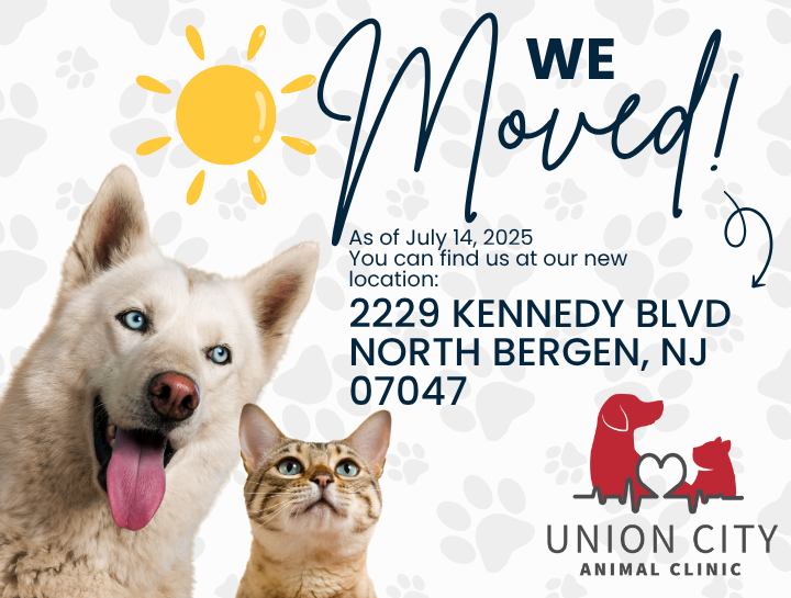 We’ve Moved to a New Location!